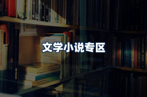 文学小说PDF展示